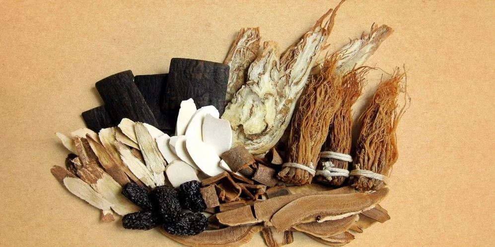 4 Lesser Known Ayurvedic Herbs