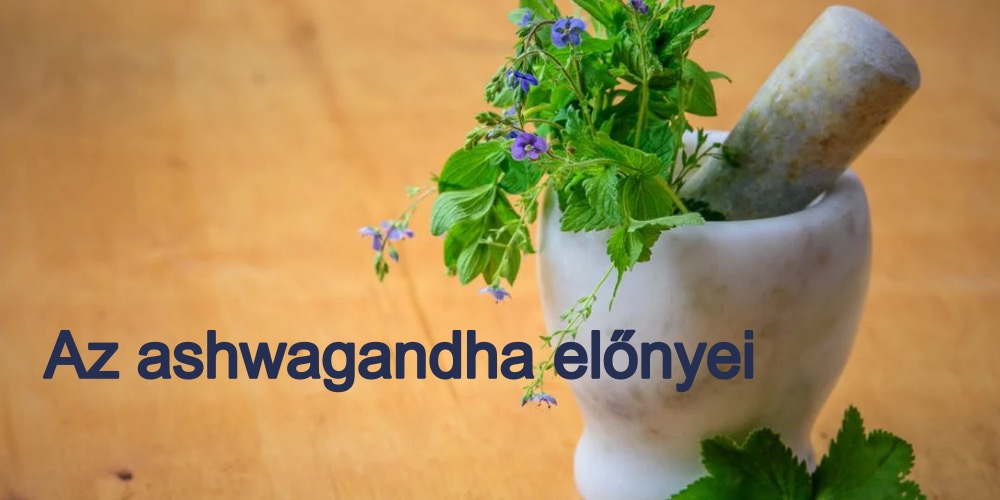 Az ashwagandha előnyei